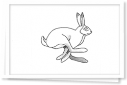 hare.png